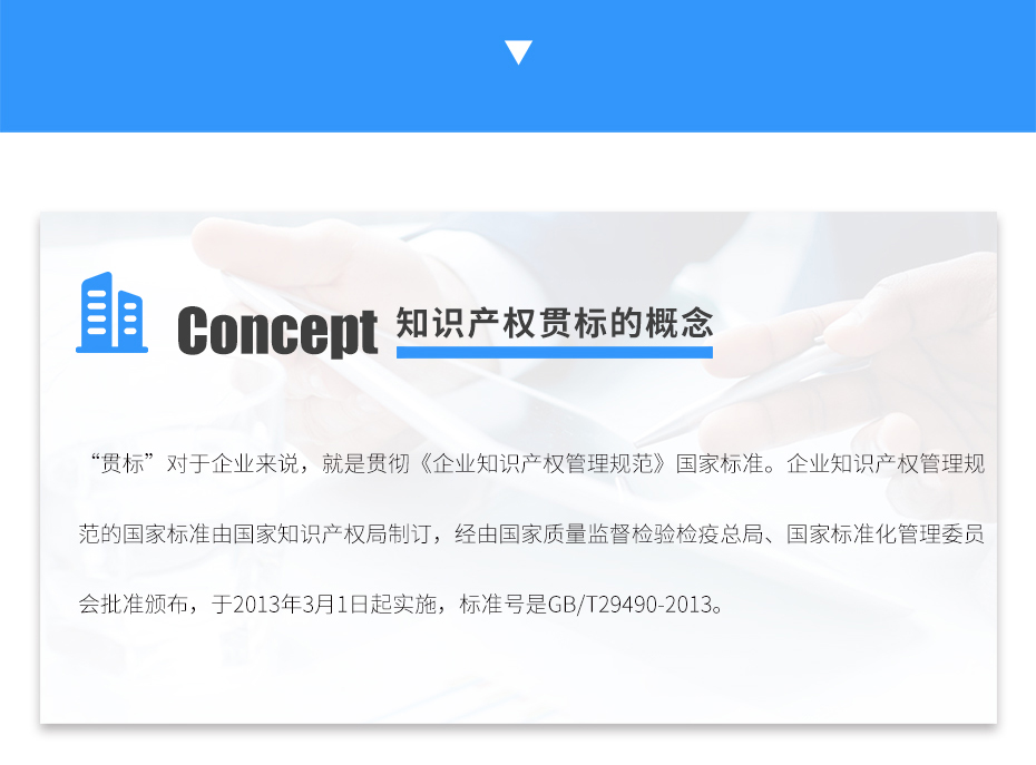 知識產(chǎn)權(quán)貫標_06